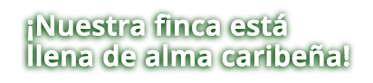 alma caribe